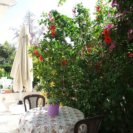 Cizmeci Apart Hotel Çeşme Eksteriør billede